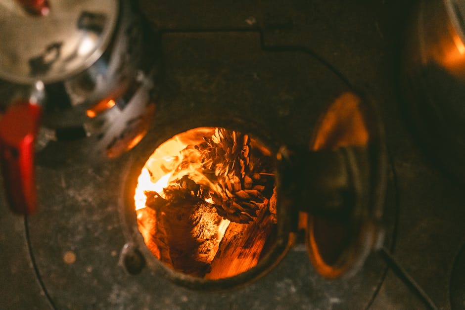 Feu de poele chaleureux avec pommes de pin